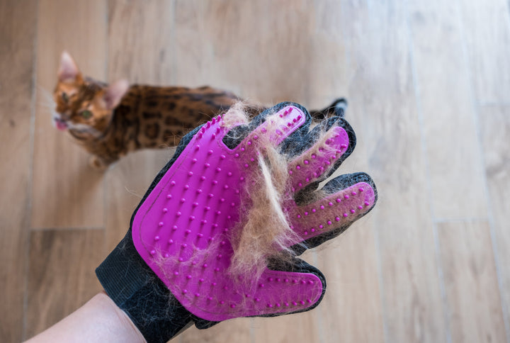 Best Brushes and Tools for Shedding Pets