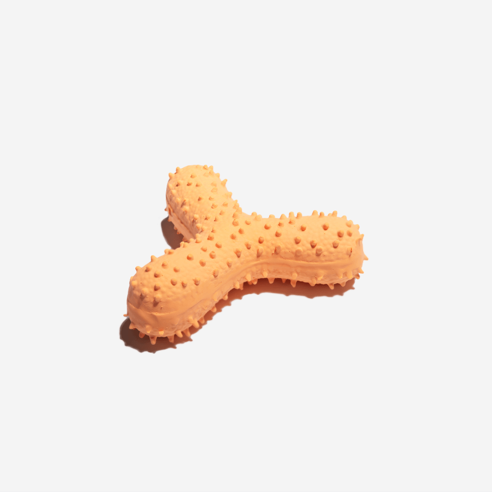 Cactus Shaped Squeaky Dog Toy - Mprsstore