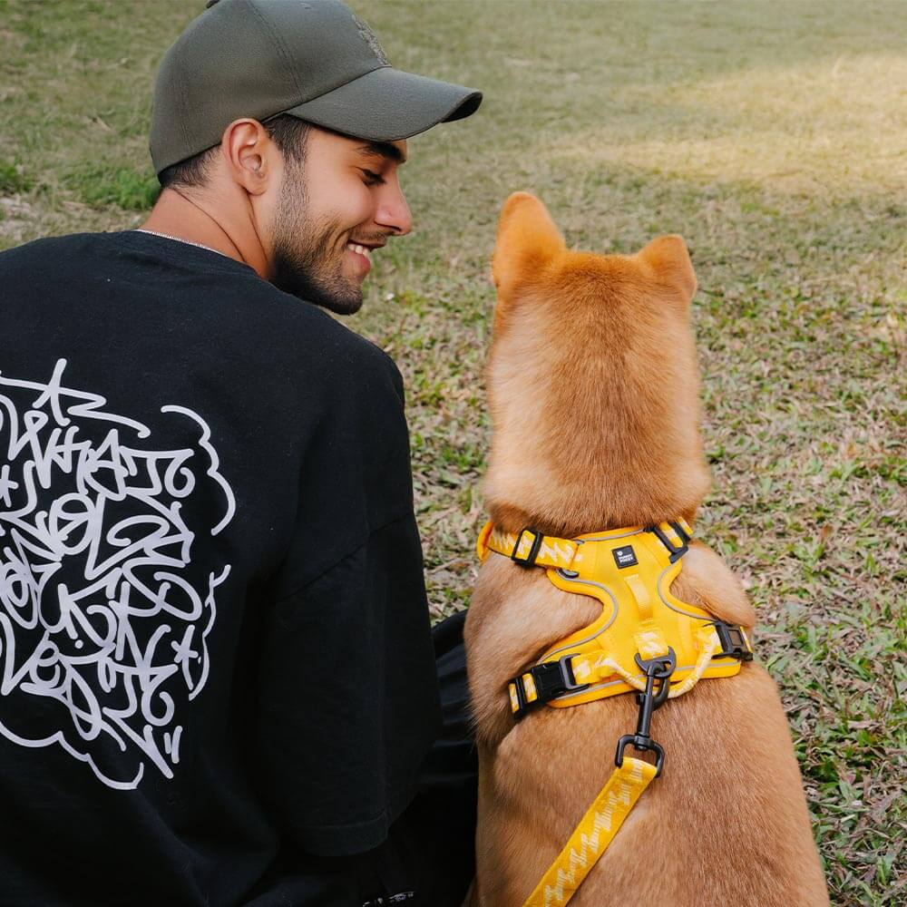Reflective Adjustable Outdoor Dog Harness - Flexi Walker