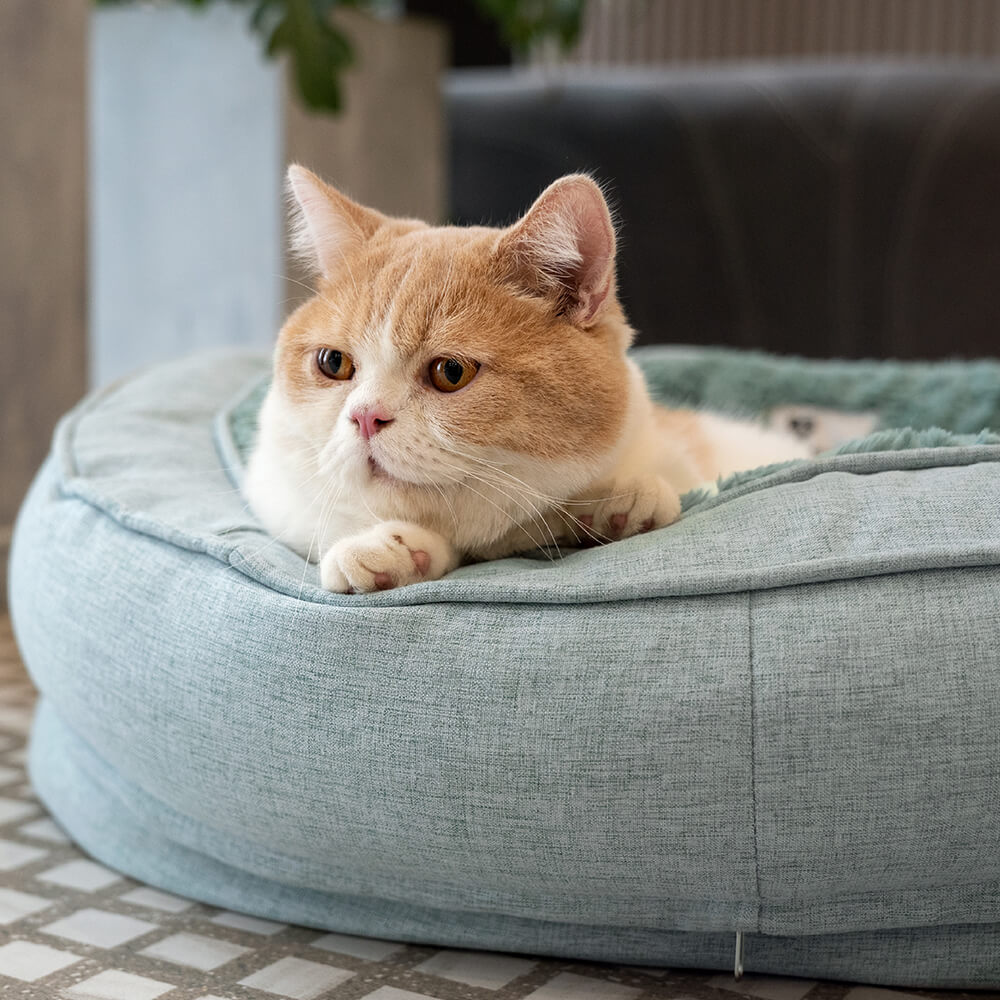 Donut Orthopedic Dog Bed - Mprsstore
