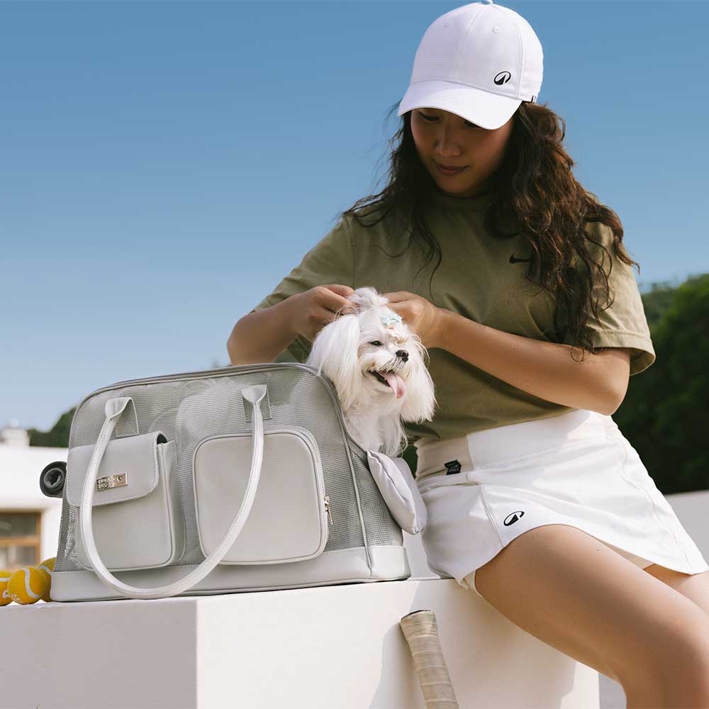 Lightweight Breathable Mesh Safe Pet Carrier - Mprsstore