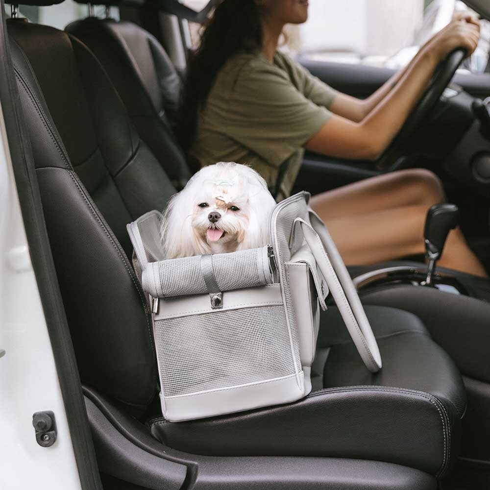 Lightweight Breathable Mesh Safe Pet Carrier - Mprsstore