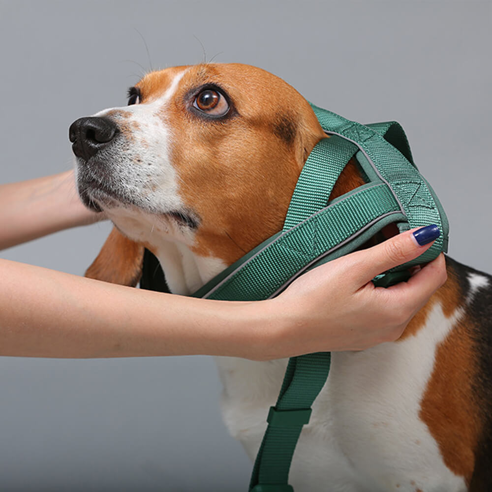 Nylon Adjustable Reflective No-Pull Dog Harness Collar and Lead